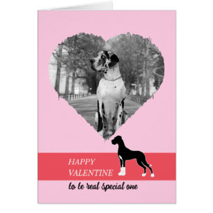 Joyeuse Saint-Valentin mon grand danois
