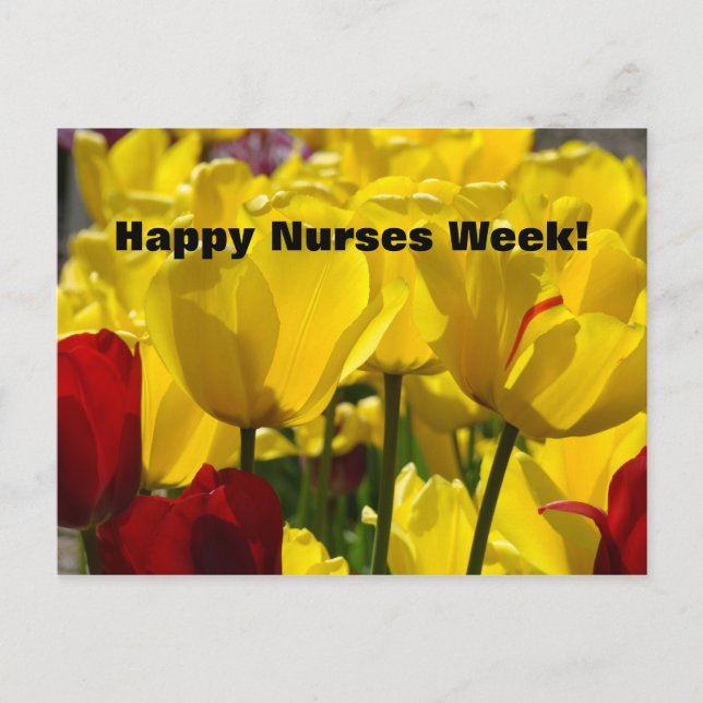 Joyeuse Semaine des Infirmières ! cartes postales  (Devant)