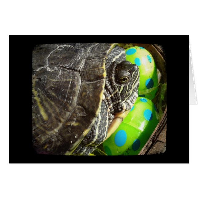 Joyeuse tortue de Pâques (Devant horizontal)