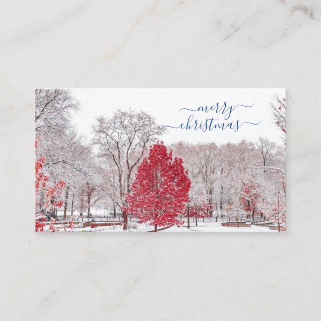 Joyeuses Cartes de Noël (Devant)