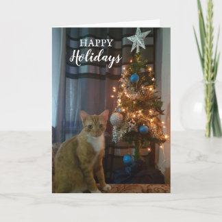 Joyeuses fêtes Carte de Noël de Cheeto Dacutecat.