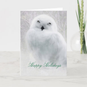 Joyeuses fêtes .. Carte de voeux Snowy Owl