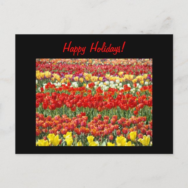 Joyeuses Fêtes ! cartes postales Fleurs de Tulipe  (Devant)