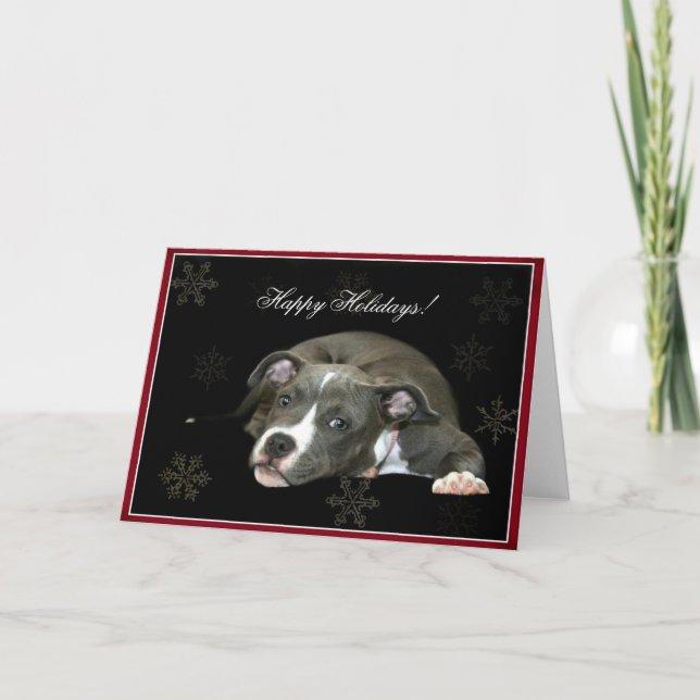 Joyeuses vacances Blue Pitbull puppy Carte de voeu (Devant)