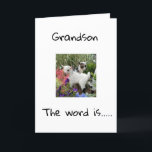 JOYEUX ANNIVERSAIRE À VOUS **PETIT-FILS** CARTE<br><div class="desc">JOYEUX ANNIVERSAIRE ***PETIT-FILS**** MERCI D'ÊTRE PASSÉ PAR L'UNE DE MES HUIT MAGASINS !</div>