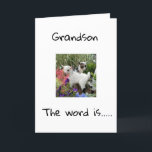 JOYEUX ANNIVERSAIRE À VOUS **PETIT-FILS** CARTE<br><div class="desc">JOYEUX ANNIVERSAIRE ***PETIT-FILS**** MERCI D'ÊTRE PASSÉ PAR L'UNE DE MES HUIT MAGASINS !</div>