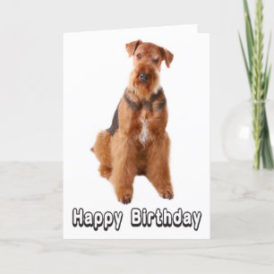 Joyeux Anniversaire Airedale Terrier Chien Carte d