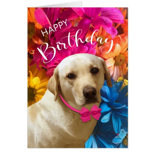 Joyeux anniversaire, animal de compagnie, chien, j (Devant)