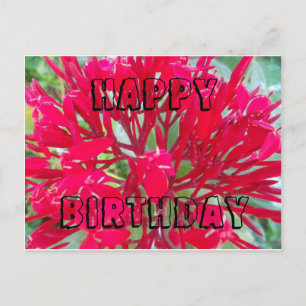 Joyeux anniversaire Belle fleurs rouges Carte post