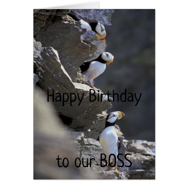 Joyeux anniversaire Boss Cute Puffin Oiseaux Humou (Devant)