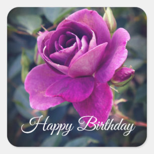 Joyeux Anniversaire Bourgogne Iceberg #2 Stickers