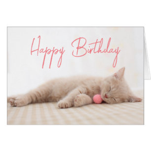 Joyeux anniversaire   British Shorthair Cat