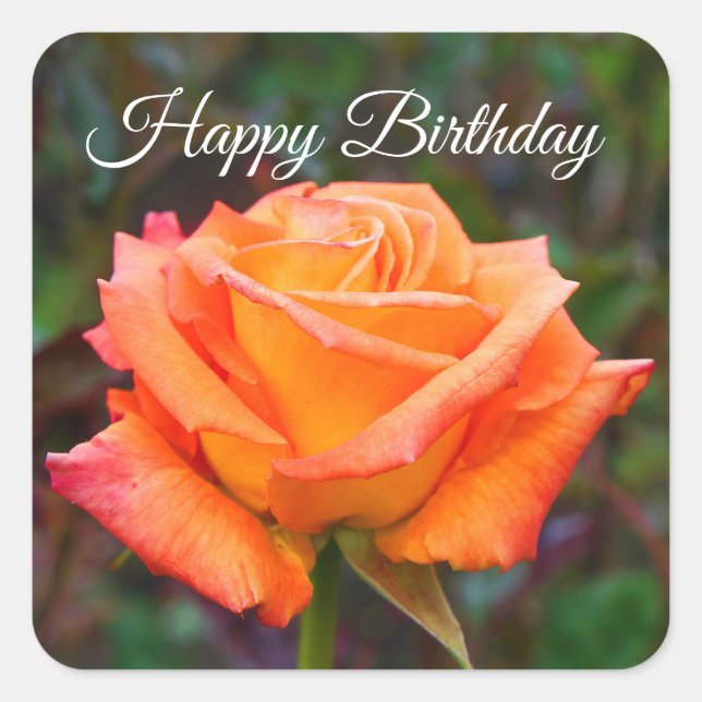 Joyeux Anniversaire Caraïbes Rose #2 Stickers (Devant)