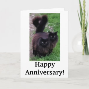 Joyeux Anniversaire Carte de Chat