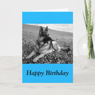 Cartes Berger Allemand D Anniversaire Zazzle Fr