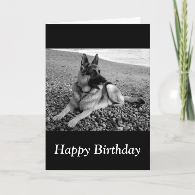 Joyeux Anniversaire Carte de Chien Coquelicot Alle (Devant)