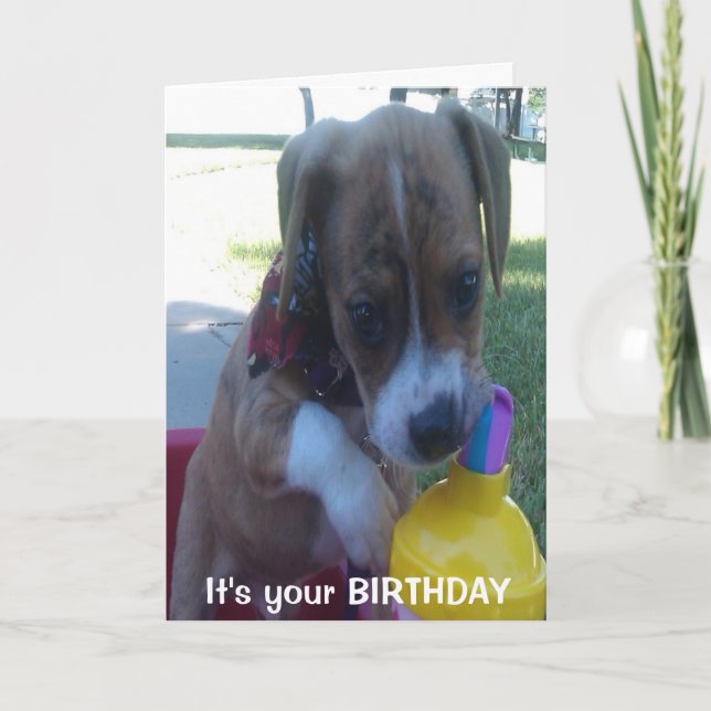 Joyeux anniversaire carte de voeux chiot boire (Devant)