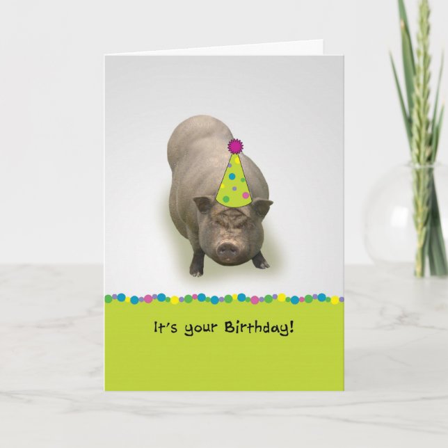 Joyeux anniversaire, carte de voeux de porc de (Devant)