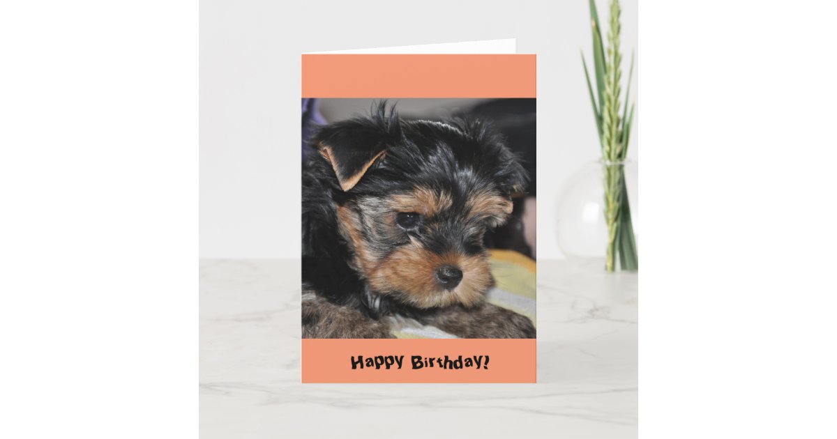 Joyeux Anniversaire Carte De Voeux De Yorkshire Zazzle Fr