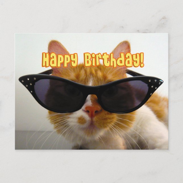 Joyeux Anniversaire - Carte Postale Chat Cool en L (Devant)
