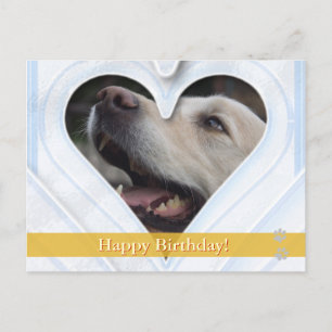 Joyeux anniversaire ! - carte postale chien