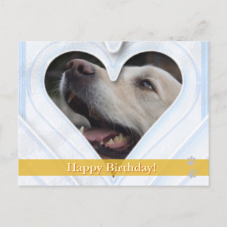 Joyeux anniversaire ! - carte postale chien
