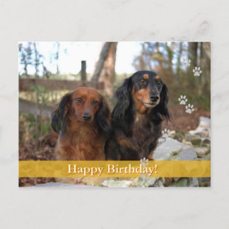 Joyeux anniversaire ! - carte postale chien