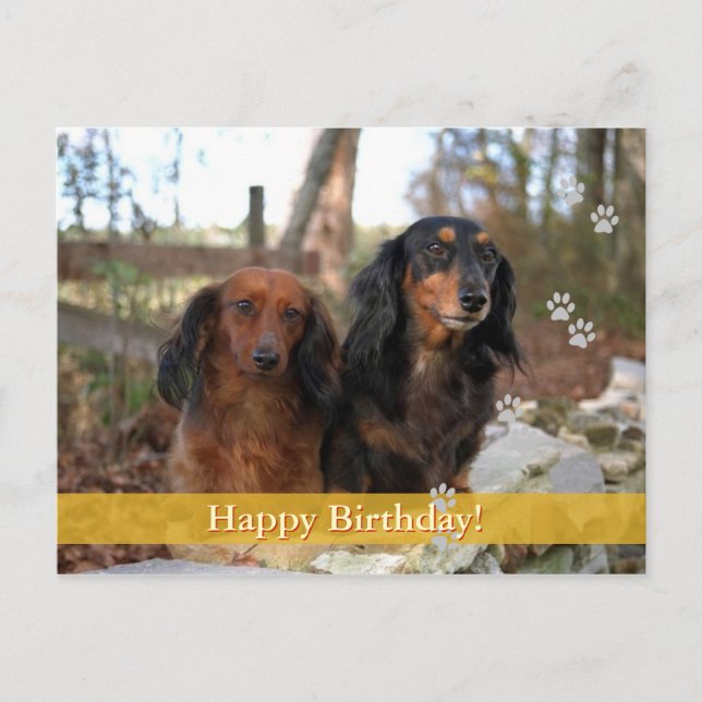 Joyeux anniversaire ! - carte postale chien (Devant)