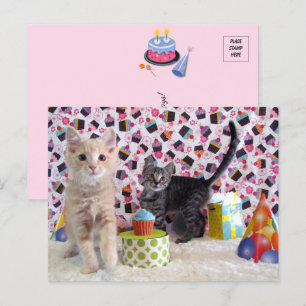 Joyeux anniversaire - Carte postale de chat