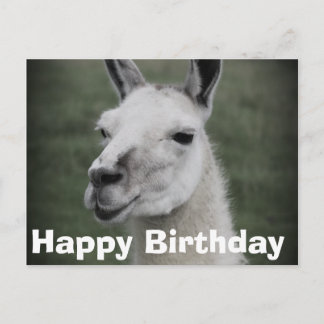 Joyeux Anniversaire, carte postale LLama