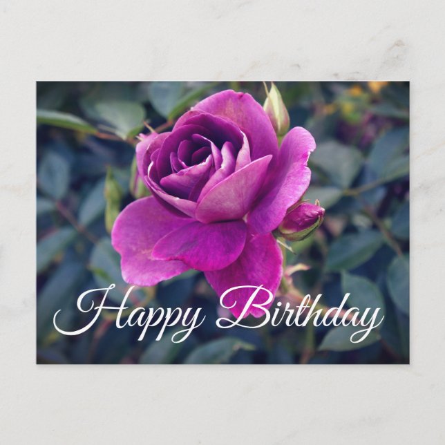 Joyeux Anniversaire Carte Postale Rose Iceberg Bou (Devant)