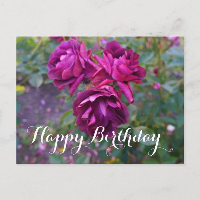 Joyeux Anniversaire Carte Postale Rose Iceberg Bou (Devant)