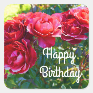 Joyeux Anniversaire Chaud Rose de cacao #3 Sticker