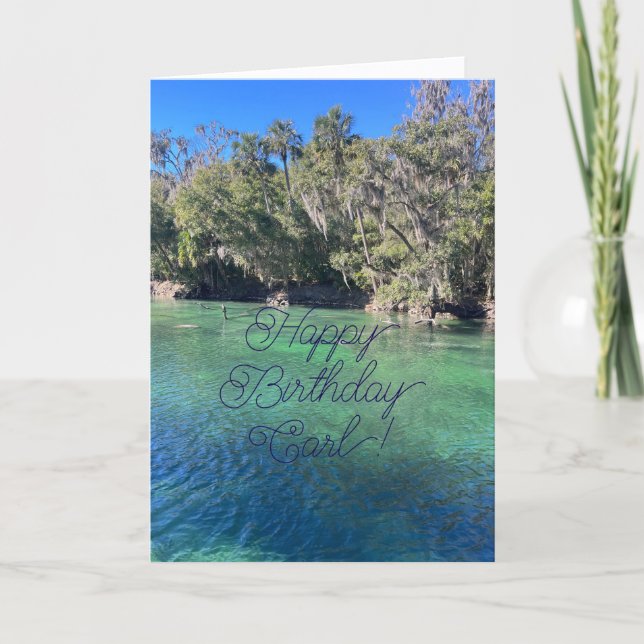 Joyeux anniversaire, Cher Nephew, Carte (Devant)