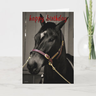 Joyeux Anniversaire Cheval Carte Anniversaire Chev