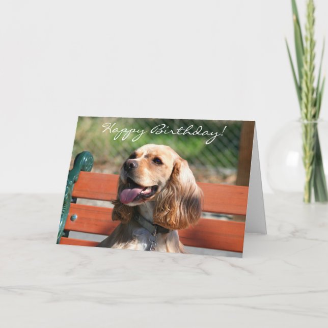 Joyeux Anniversaire Cocker Spaniel carte de voeux (Devant)