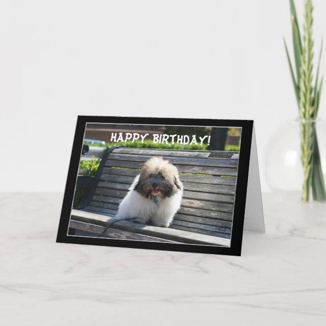 Joyeux Anniversaire Coton de Tulear Puppy carte de (Devant)