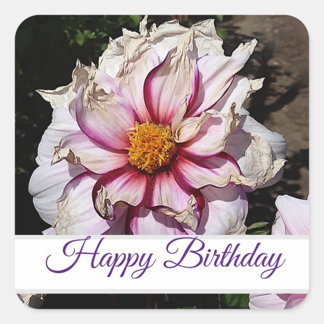Joyeux Anniversaire Dahlia Edge of Joy #1 Stickers (Devant)