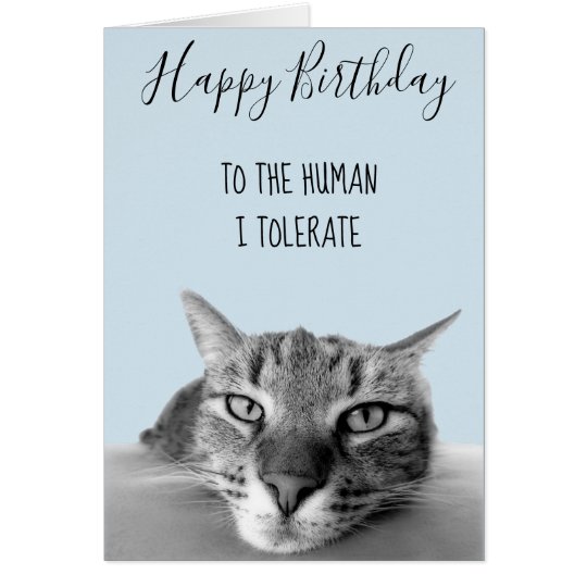 Joyeux Anniversaire De Chat A L Humain Je Tolere Zazzle Fr