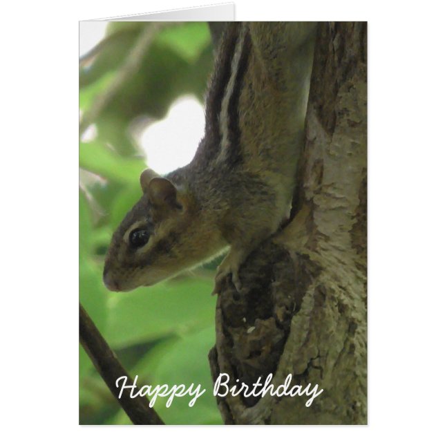 Joyeux anniversaire Funny Chipmunk Card (Devant)