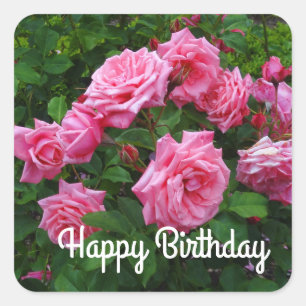 Joyeux Anniversaire Gene Boerner Rose #2 Stickers