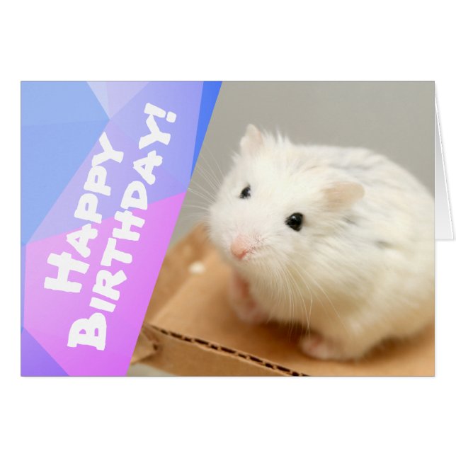 Joyeux anniversaire - Hammyville White Hamster (Devant horizontal)