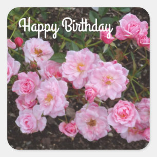 Joyeux anniversaire Jeanne LaJoie Rose #1 Stickers
