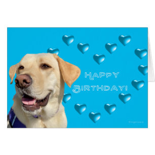 Joyeux Anniversaire Labrador Chien Coeurs, Adorabl