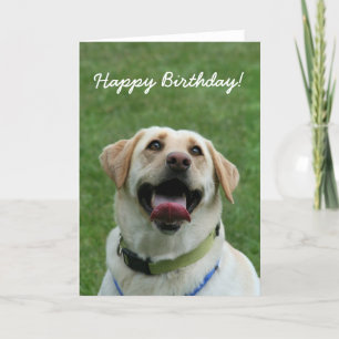 Joyeux anniversaire Labrador Retriever carte de vo