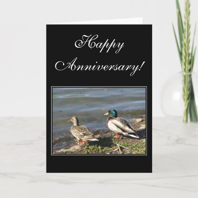 Joyeux Anniversaire Mallard canards carte de voeux (Devant)