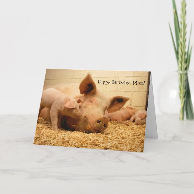 Joyeux Anniversaire Maman Carte de Cochon et de Po (Devant)