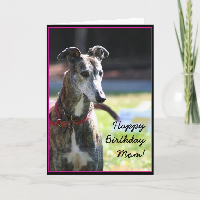 Joyeux anniversaire maman Greyhound carte de voeux (Devant)