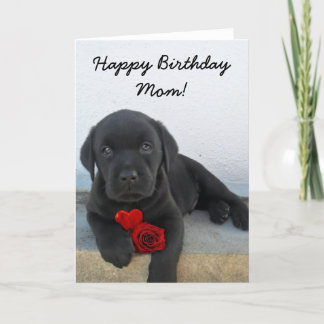 Joyeux anniversaire Maman Labrador Carte Retriever