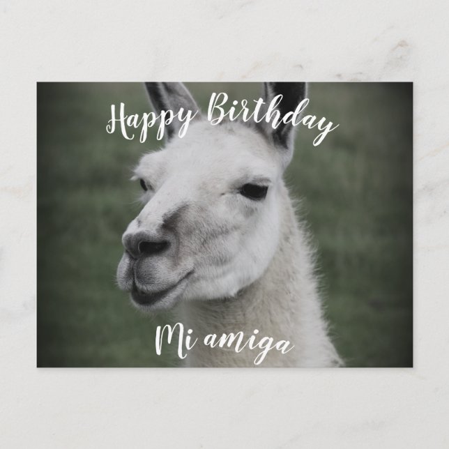 Joyeux Anniversaire "Mi Amiga" Carte postale lama (Devant)